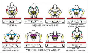 załącznik 2