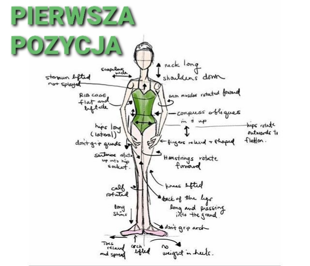 rys. 1 - klasyka I pozycja