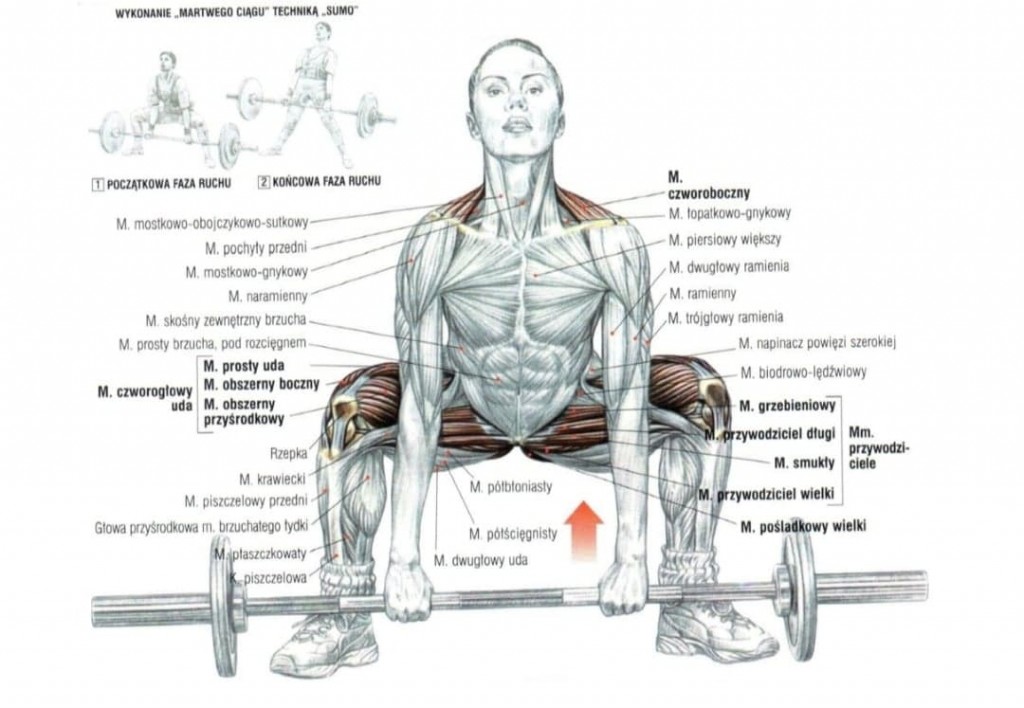 prostowniki - 5